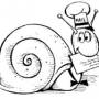 s-nail_logo.jpg