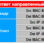 arp_usage_8.png